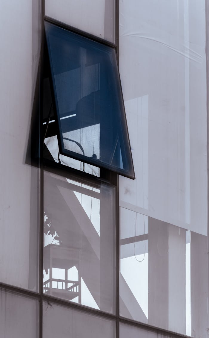 pexels photo 34997022.jpeg